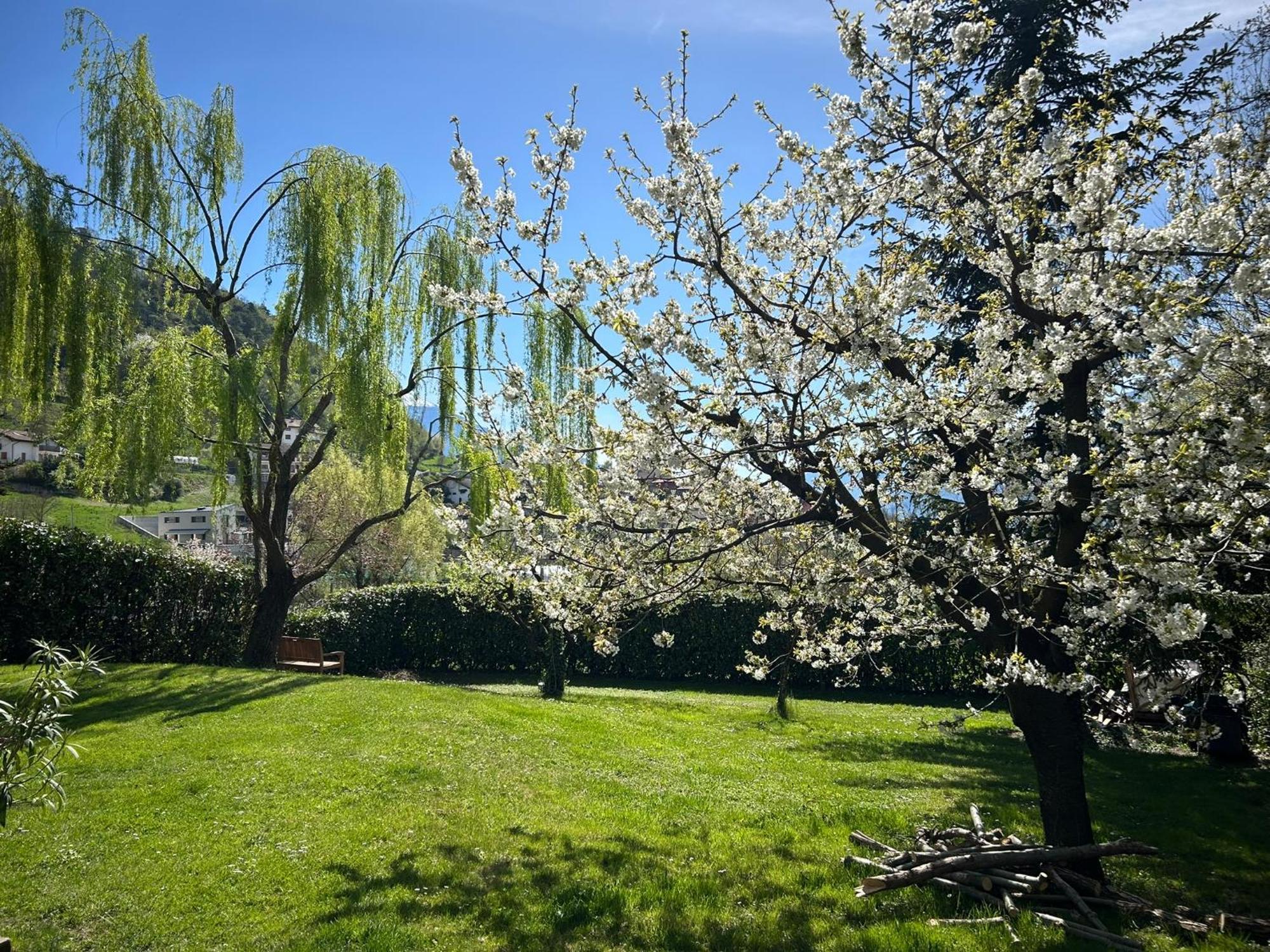 Holliday Charming Home Trento Exterior foto